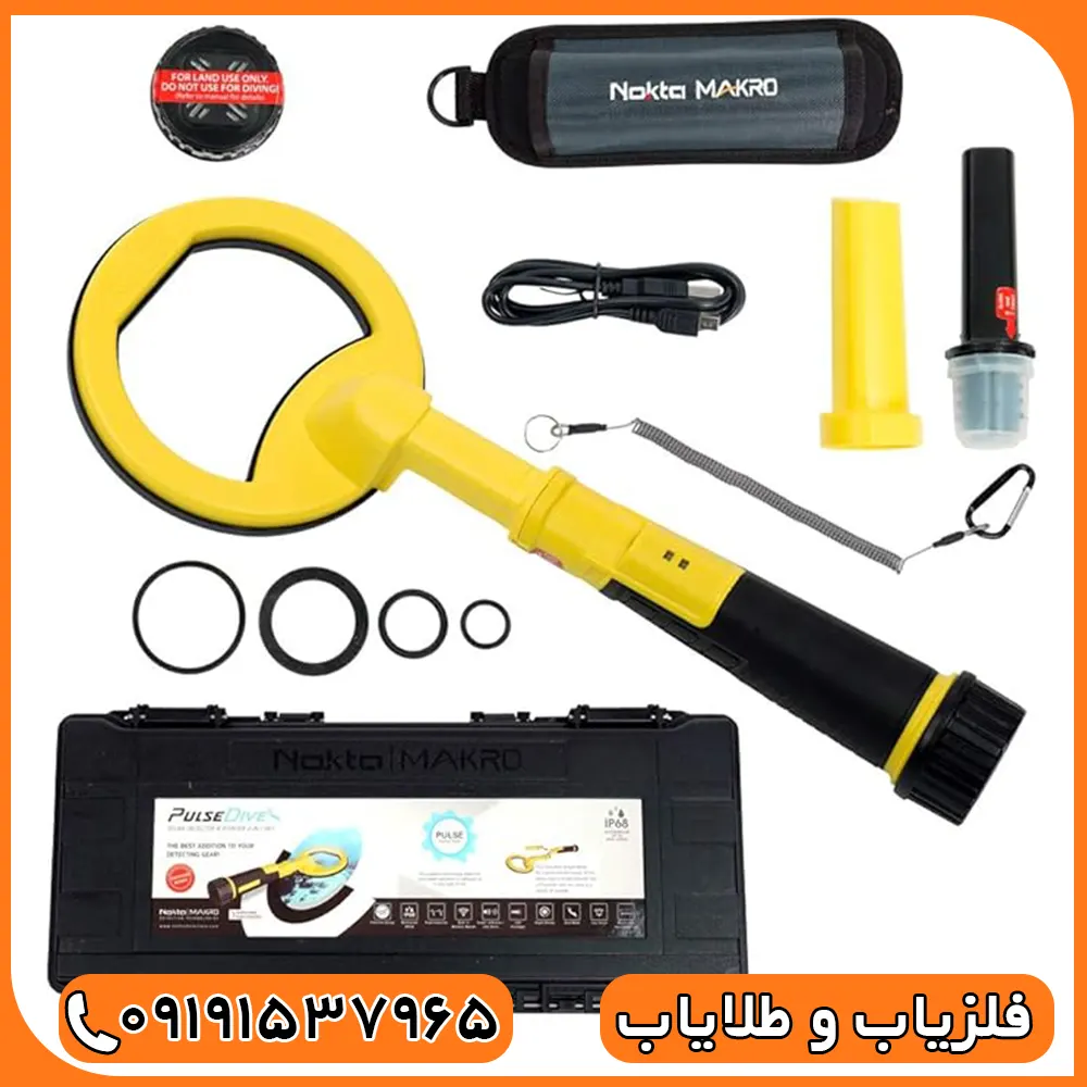فلزیاب پالس دایو