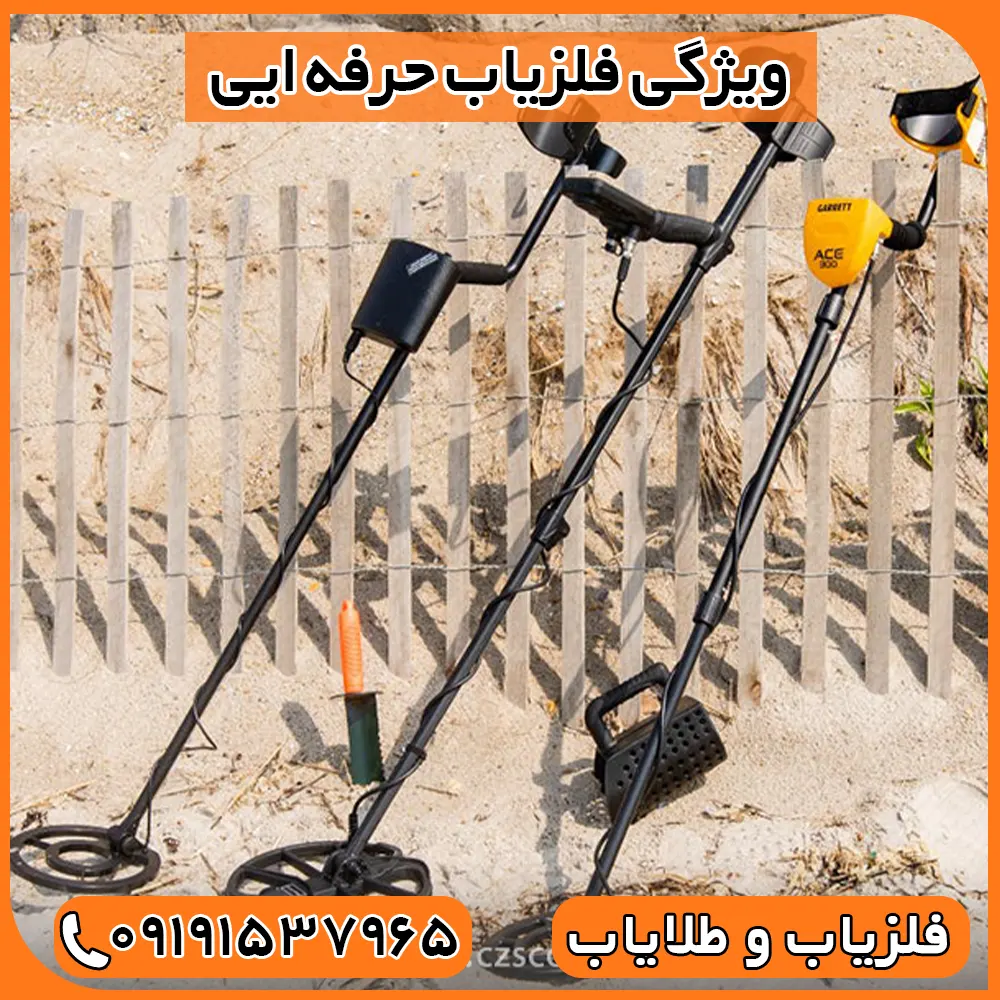 فلزیاب حرفه‌ای