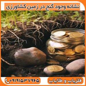 نشانه وجود گنج در زمین کشاورزی