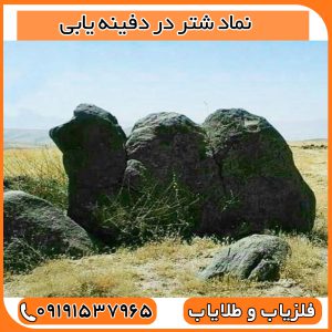نماد شتر در دفینه یابی