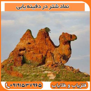 نماد شتر در دفینه یابی