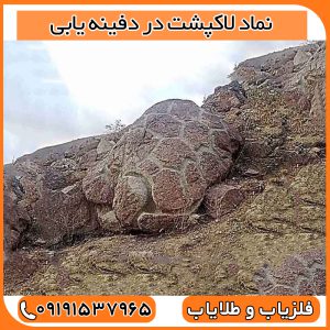 نماد لاکپشت در دفینه یابی
