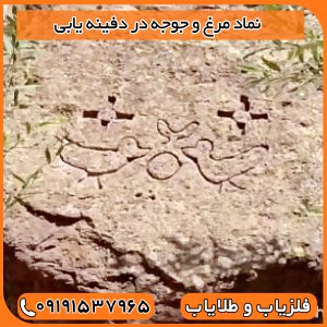 نماد مرغ و جوجه در دفینه یابی