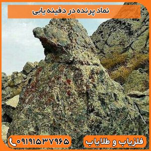 نماد پرنده در دفینه یابی