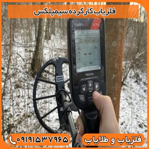 فلزیاب کارکرده سیمپلکس